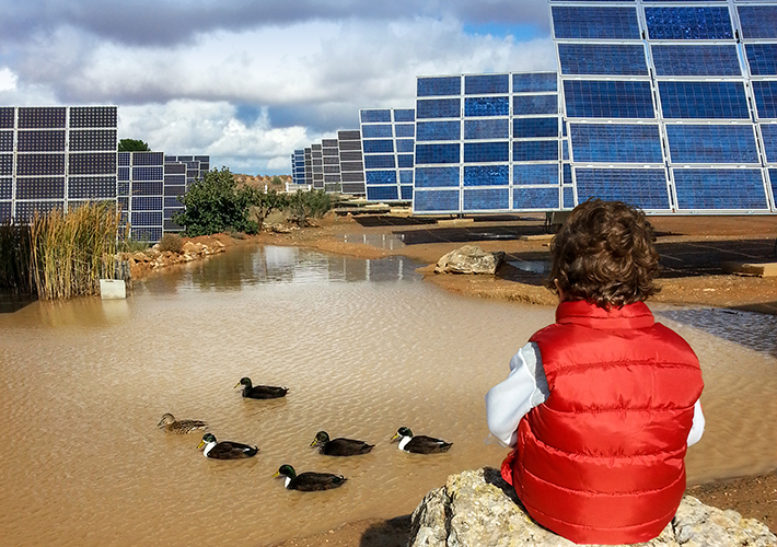 Foto El VIII Foro Solar deja de manifiesto que la fotovoltaica es la forma más barata y sostenible de rebajar el precio de la luz.